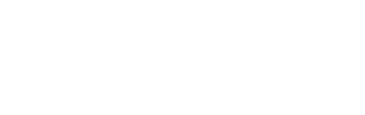 Vice Logo